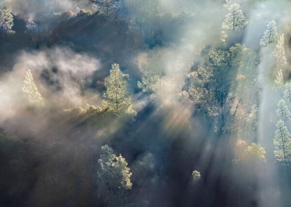 By Michael Piraino Sunbeams through mist and fog with trees along Merced River
