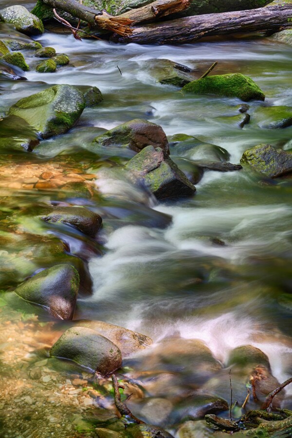 By Michael Piraino Great Smoky Mountains Creek Rocks Scenic