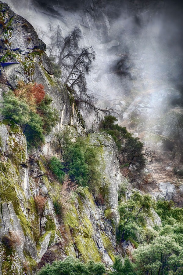 By Carin Piraino Cliff with fog and trees in Merced River Canyon, California