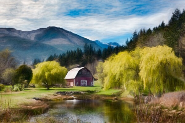 By Michael Piraino Barn, pond and weeping willow trees in Olympic Mountain foothills
