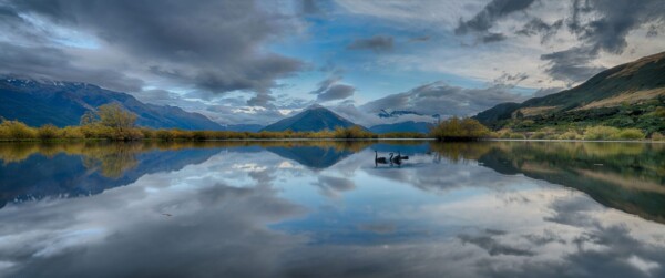 By Michael Piraino Glenorchy Lagoon New Zealand with reflections of Mountains, clouds and black swans