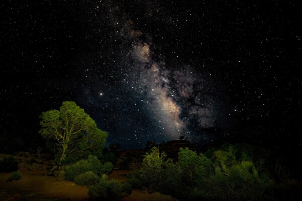By Michael Piraino Light-painted trees and Milky Way in Canyonlands National Park