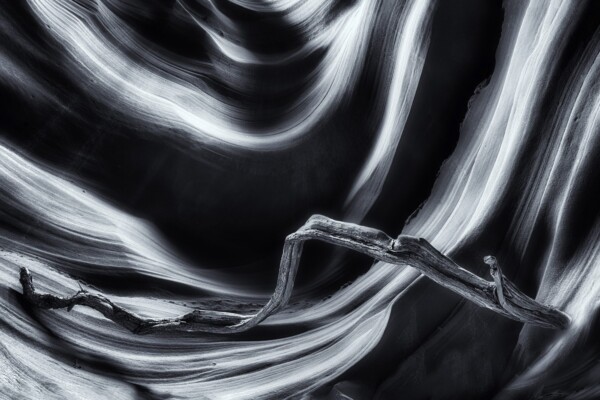 By Michael Piraino Slot canyon with curves and tree trunk in black and white