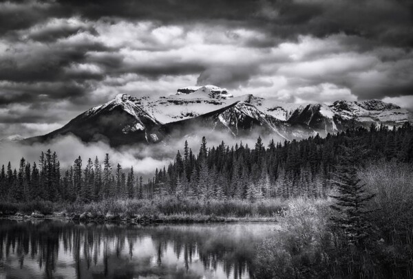 by Michael Piraino Foggy morning in black and white at a lake in the Canadian Rocky Mountains