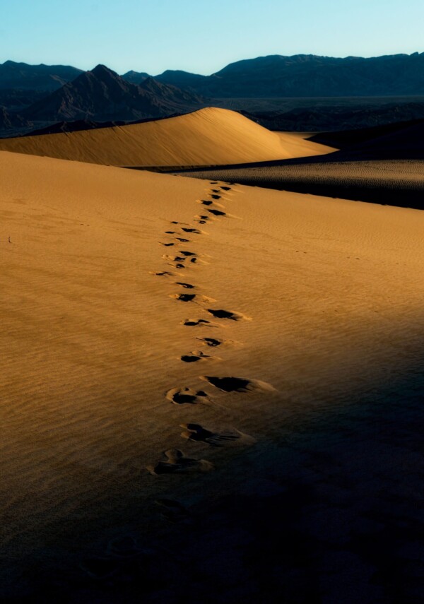 By Michael Piraino Footsteps in sand dunes at Death Valley National Park