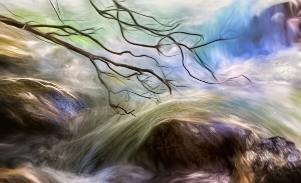 By Michael Piraino painting Kings River slowing over rock with bare branches