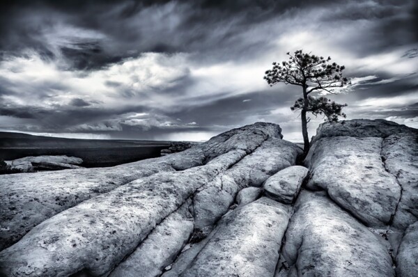 By Michael Piraino Lone tree on sandstone cliff with approaching storm in monochrome