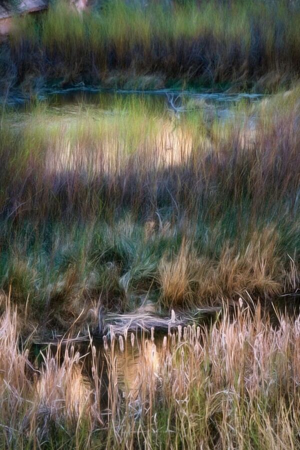 By Michael Piraino abstract meadow with grasses