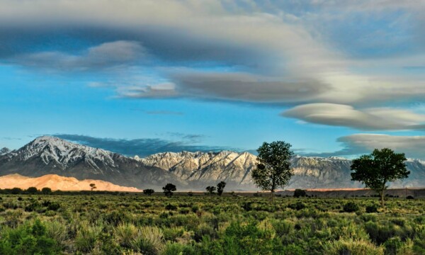 By Michael Piaino Meadow, trees and clouds at sunrise in the Eastern Sierra Mountains