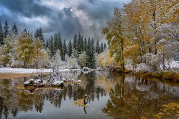 By MIchael Piraino Fall colors along the Merced River in Yosemite Valley