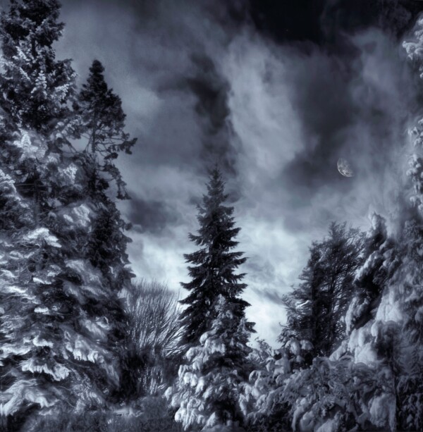 By Michael Piraino Moon, trees and fog in moonlight during winter storm