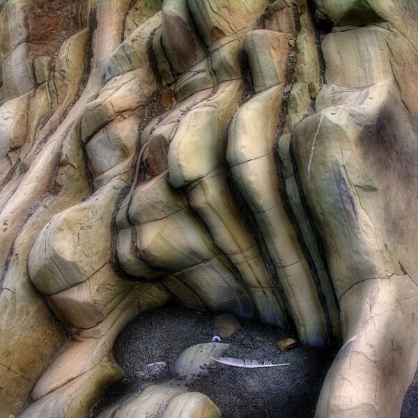 By Michael Piraino Rock formation, sand and feather Olympic National Park coast section