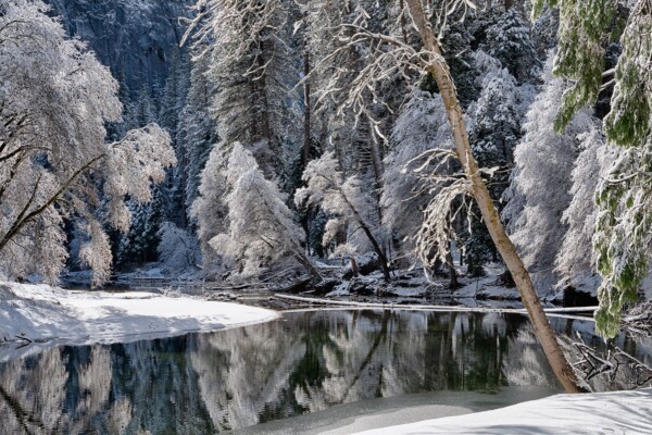 By Michael Piraino Snow-covered trees at sunrise along the Merced River in Yosemite Valley