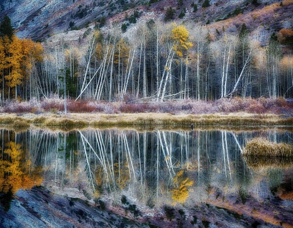 by Michael Piraino Beaver Pond and Aspen in Fall Color, Eastern Sierra Nevada Mountains