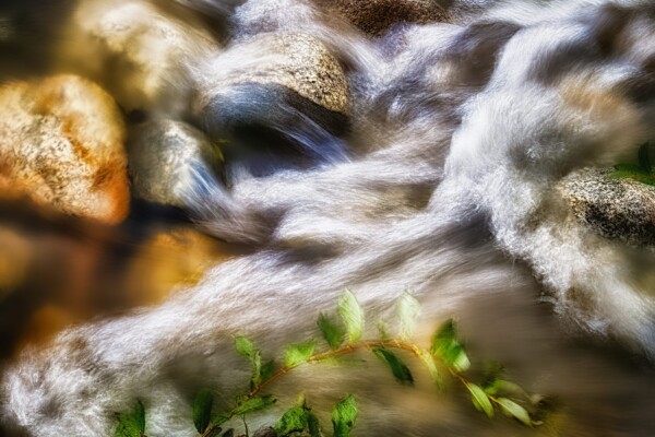 By Michael Piraino roaring river rocky mountain national park flowing before a flood