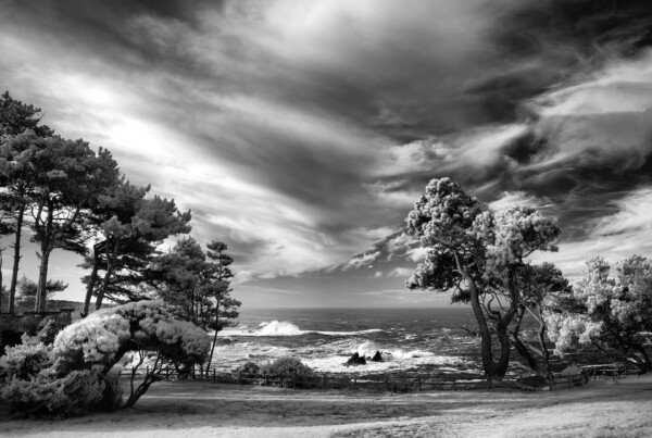 By Michael Piraino black and white infrared California coastline